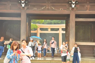 DSC_3305 (Large).JPG